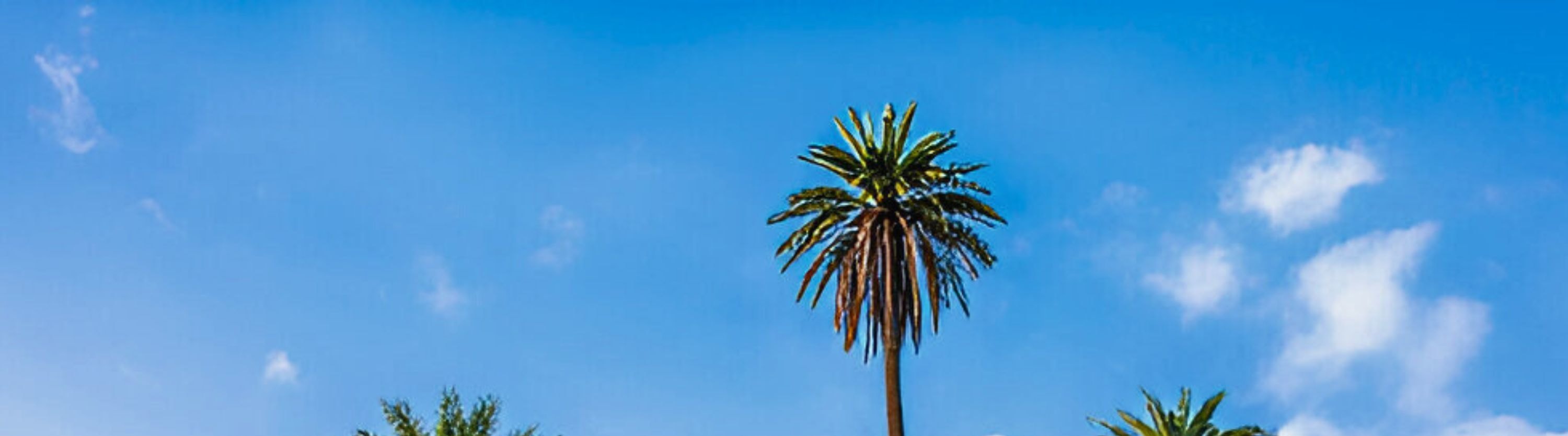 1 Day Delhi & 1 Day Agra Tour From Delhi By Car