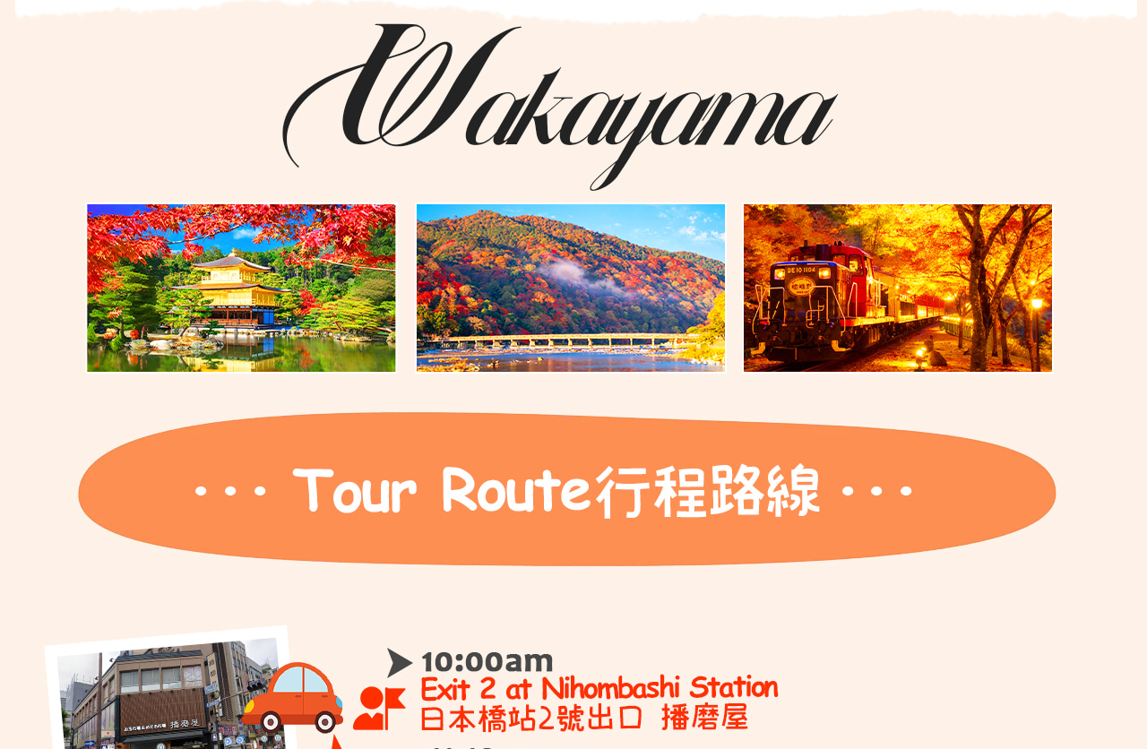 Kyoto Dream Illumination Autumn Foliage Day Tour - Kinkaku-ji & Arashiyama (Includes Night Maple Train - Departing from Osaka/Kyoto) - Thumbnail 3