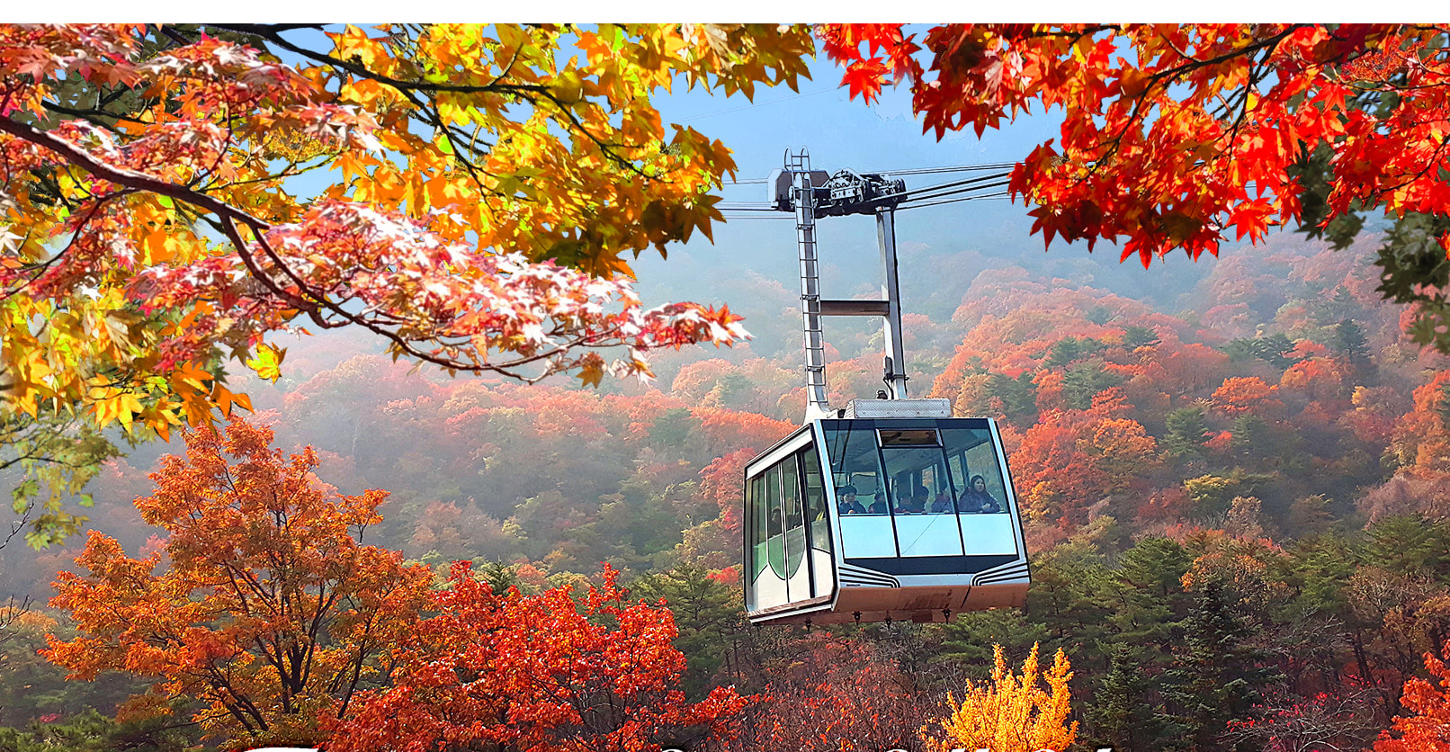 雪嶽山／纜車／草泥馬樂園／鐵道自行車／晨靜樹木園之旅