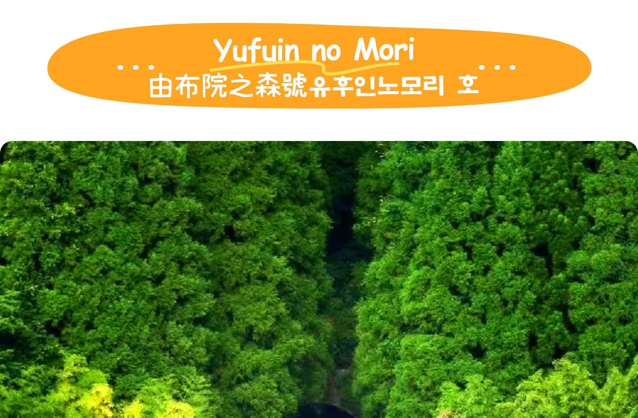 由布院之森觀光列車是JR九州最具人氣的觀光列車之一,運行於博多與由布院之間,全程約兩小時。列車採用充滿歐式復古風格的木質裝潢與綠色車身設計,營造出優雅而溫馨的氛圍。寬大的觀景窗讓乘客可以盡情欣賞沿途的秀麗風景:從福岡的城市景觀到九州腹地的青翠山谷、潺潺溪流和田園風光。車內提供專屬餐飲與紀念品售賣,乘客可邊品嚐當地特產邊觀景,旅程充滿儀式感。由布院之森不僅是通往溫泉與藝術小鎮湯布院的交通工具,更是一次獨特的觀光體驗,被譽為“行走在森林中的列車”。 由布院之森觀光列車是JR九州最具人氣的觀光列車之一,運行於博多與由布院之間,全程約兩小時。列車採用充滿歐式復古風格的木質裝潢與綠色車身設計,營造出優雅而溫馨的氛圍。寬大的觀景窗讓乘客可以盡情欣賞沿途的秀麗風景:從福岡的城市景觀到九州腹地的青翠山谷、潺潺溪流和田園風光。車內提供專屬餐飲與紀念品售賣,乘客可邊品嚐當地特產邊觀景,旅程充滿儀式感。由布院之森不僅是通往溫泉與藝術小鎮湯布院的交通工具,更是一次獨特的觀光體驗,被譽為“行走在森林中的列車”。