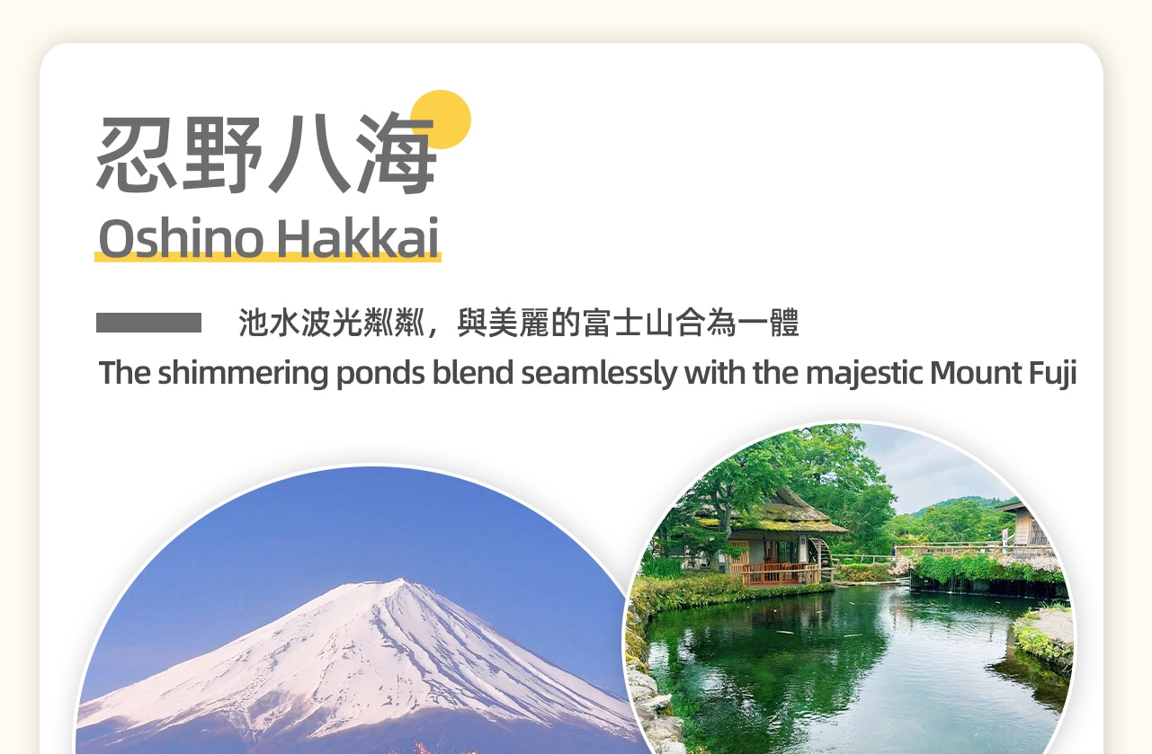忍野八海位於日本山梨縣,是富士山腳下的八個湧泉統稱。這些泉水清澈透明,源於富士山的融雪,經過地層過濾而成。忍野八海包括御釜池、底拔池、銚子池等,每個池子都有其獨特的傳說和風景。這裡是日本國家指定天然紀念物,亦被列入世界文化遺產。遊客可以欣賞到倒映著富士山的美麗池水,品嚐當地特色美食,感受自然的治癒力量。 忍野八海位於日本山梨縣,是富士山腳下的八個湧泉統稱。這些泉水清澈透明,源於富士山的融雪,經過地層過濾而成。忍野八海包括御釜池、底拔池、銚子池等,每個池子都有其獨特的傳說和風景。這裡是日本國家指定天然紀念物,亦被列入世界文化遺產。遊客可以欣賞到倒映著富士山的美麗池水,品嚐當地特色美食,感受自然的治癒力量。