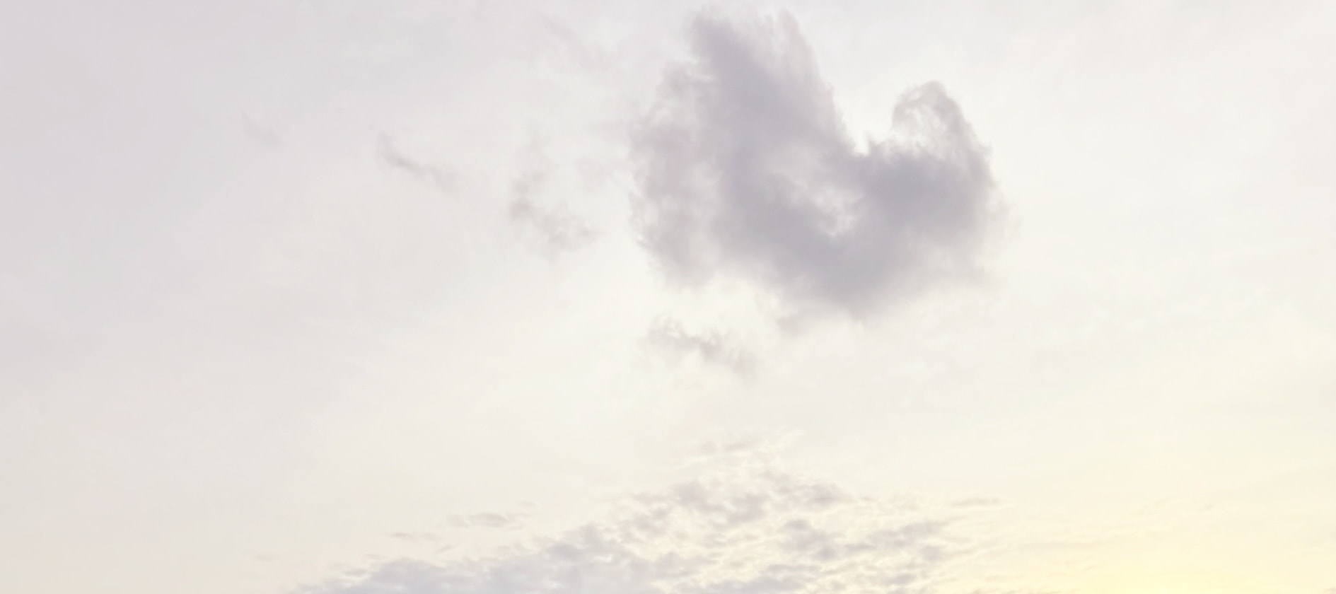 您將需要支付花卉等額外費用。 您將需要支付花卉等額外費用。