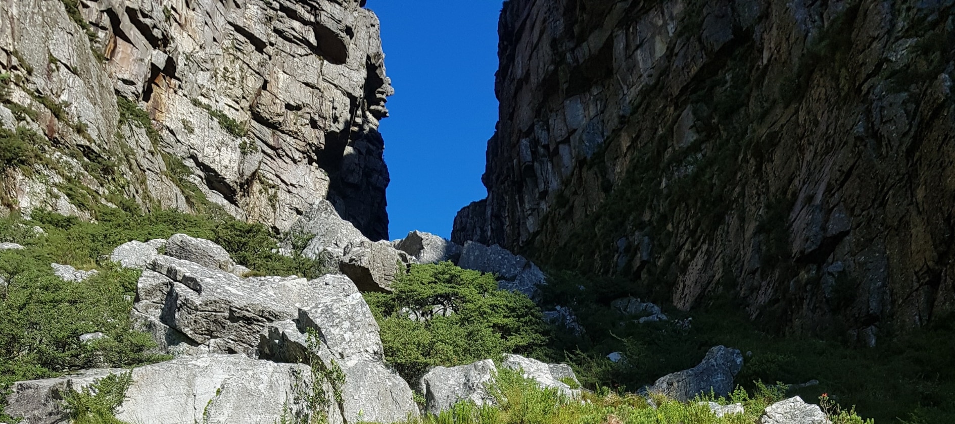 Cape Town Table Mountain Half-Day Small Group Hiking Tour
