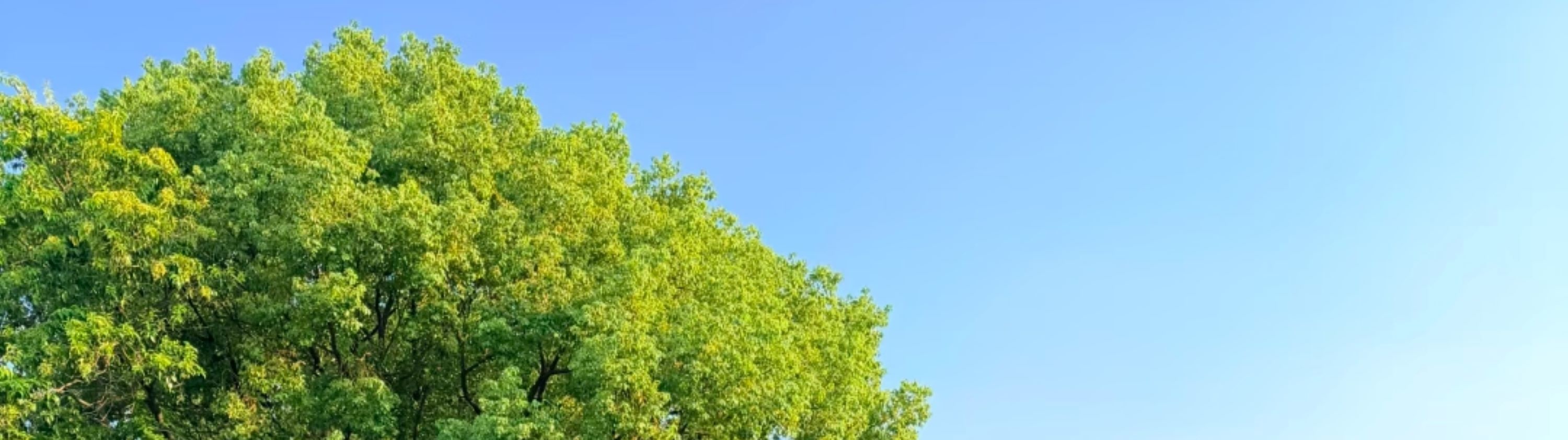 周莊日間水鄉風貌,河道清澈,烏篷船悠悠穿行,兩岸黛瓦白牆的民居錯落,綠樹垂蔭,黃燈籠點綴其間,遊人或閒坐岸邊,盡顯江南古鎮的寧靜與菸火氣 周莊日間水鄉風貌,河道清澈,烏篷船悠悠穿行,兩岸黛瓦白牆的民居錯落,綠樹垂蔭,黃燈籠點綴其間,遊人或閒坐岸邊,盡顯江南古鎮的寧靜與菸火氣
