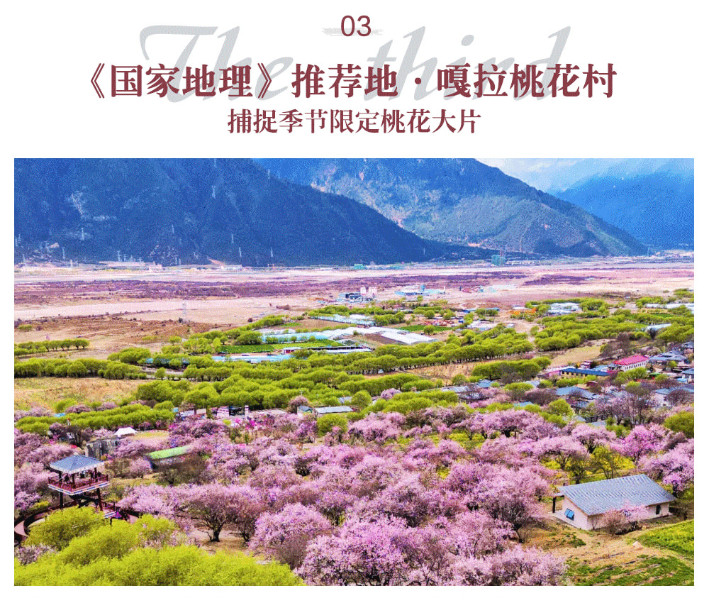西藏林芝桃花6日（天后同款瑞吉/松贊系列+南迦巴瓦日照金山&平措康桑雪裡酒店+嘎拉桃花村+索松村+卡若拉冰川+私導講解布達拉宮大昭寺）