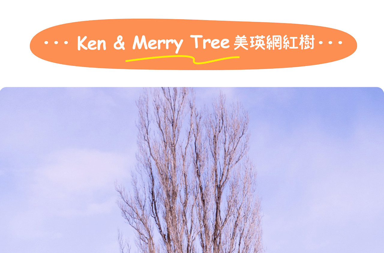 北海道“Ken & Mary之樹”因出現在早期汽車廣告中而走紅，以其孤立於丘陵上的挺拔白楊與唯美田園風光聞名。