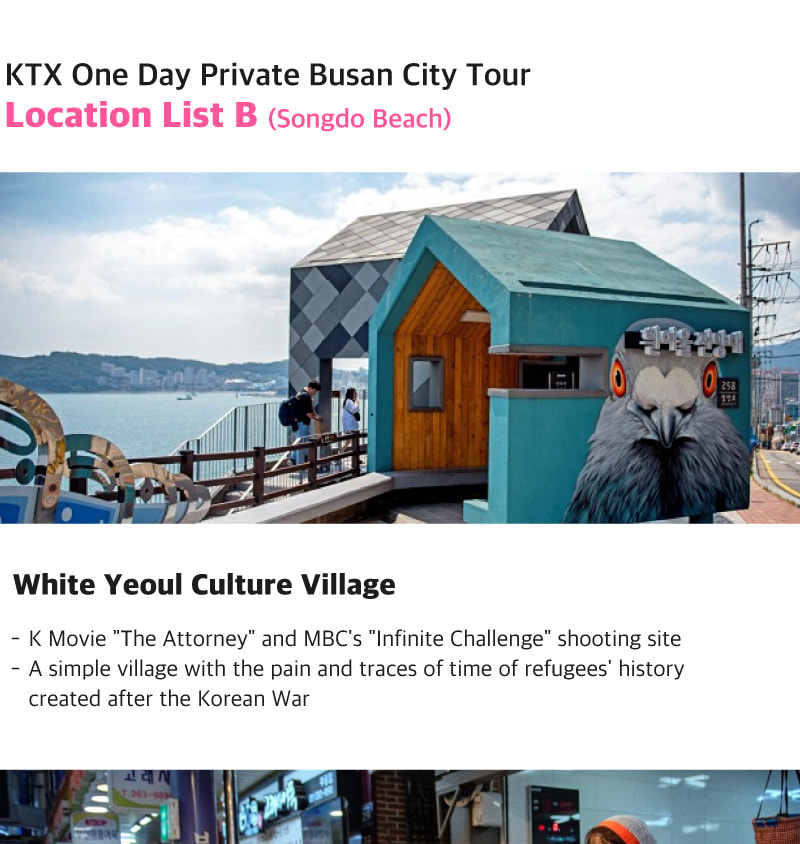 SRT One Day Private Busan City Tour (Songdo)