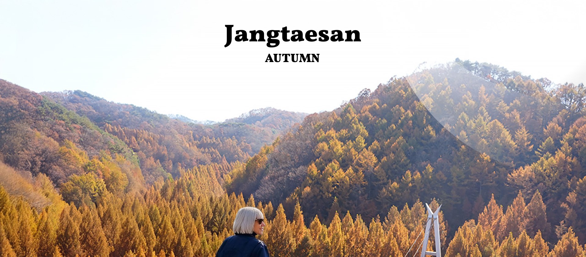 秋天來臨時,森林會變成紅色、橙色和金色。 秋天來臨時,森林會變成紅色、橙色和金色。