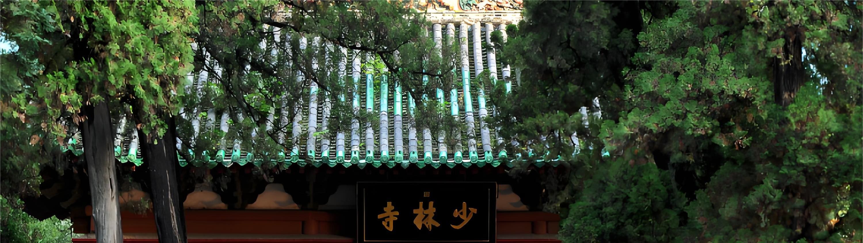 洛陽龍門石窟 私人導覽1日遊 自選（少林寺/白馬寺/洛邑古城/洛陽博物館/牡丹園）