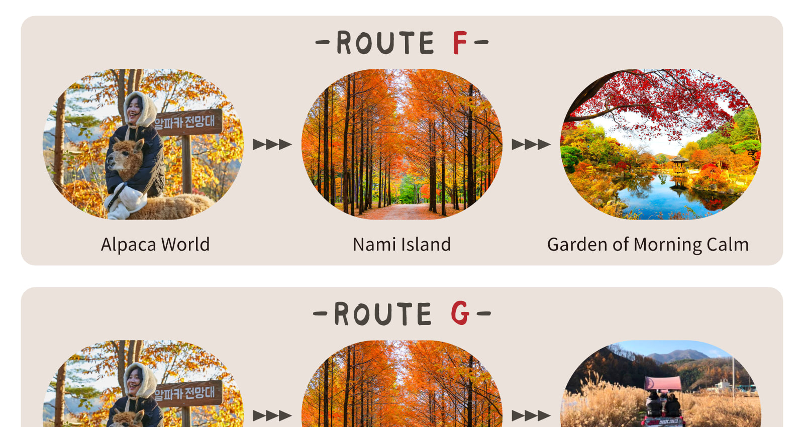 Ideal for families, couples, friends, or solo travelers who want to make the most of a day outside the city — without the stress of planning!