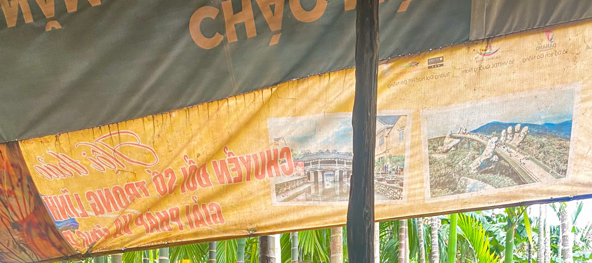 會安 (Hoi An) 出發，半日鄉村電動車探險之旅