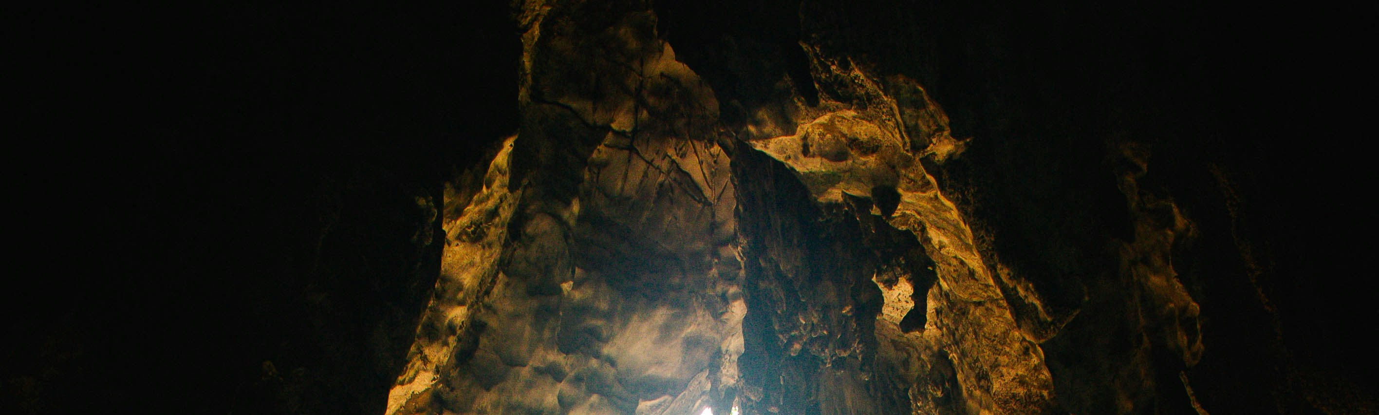 Private Batu Caves tour exploration (4 hours)