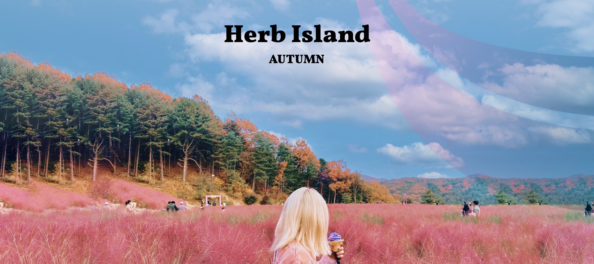 🍂秋天，香草島將紫色換成粉色，粉黛亂子草佔據了田野。漫步在高高的、羽毛狀的花朵中，感覺如夢如幻——就像走進了畫家的畫布。🌾🌷