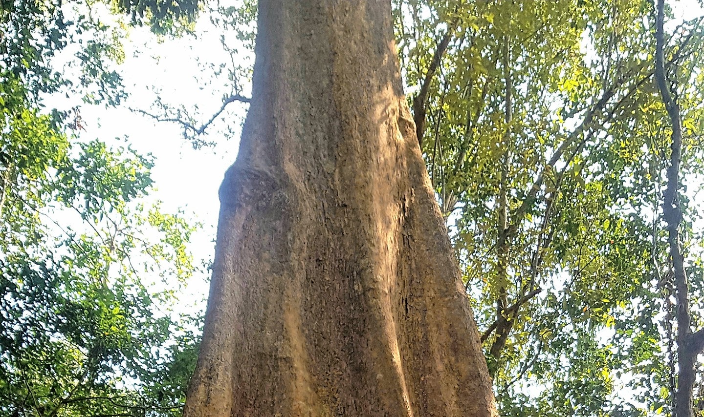 富國島自然人文探索之旅
