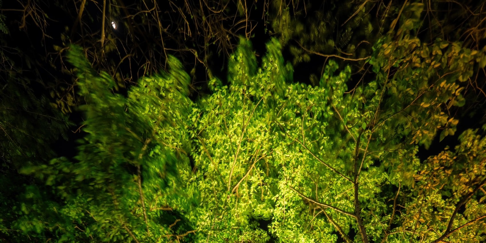 玉山寺神秘夜遊