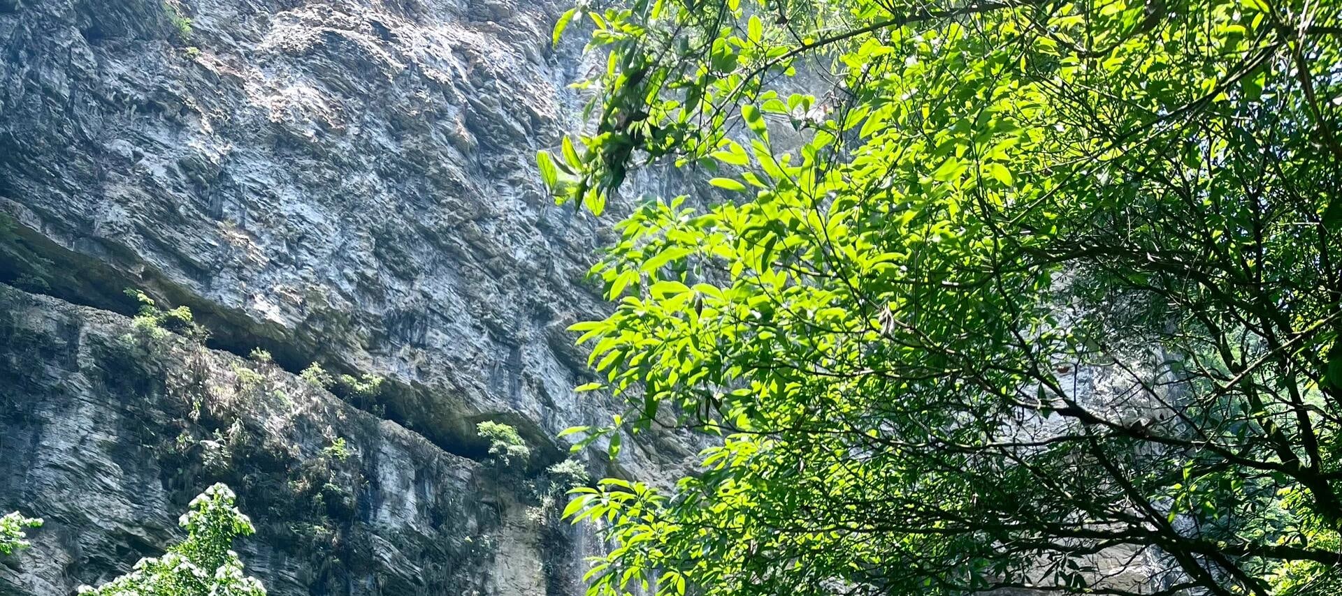 湖南張家界大峽谷/玻璃橋純玩小團一日遊（張家界往返+大峽谷風景區+玻璃橋+雲天渡+“小九寨溝”+自然的奇幻畫卷+人間仙境本境）