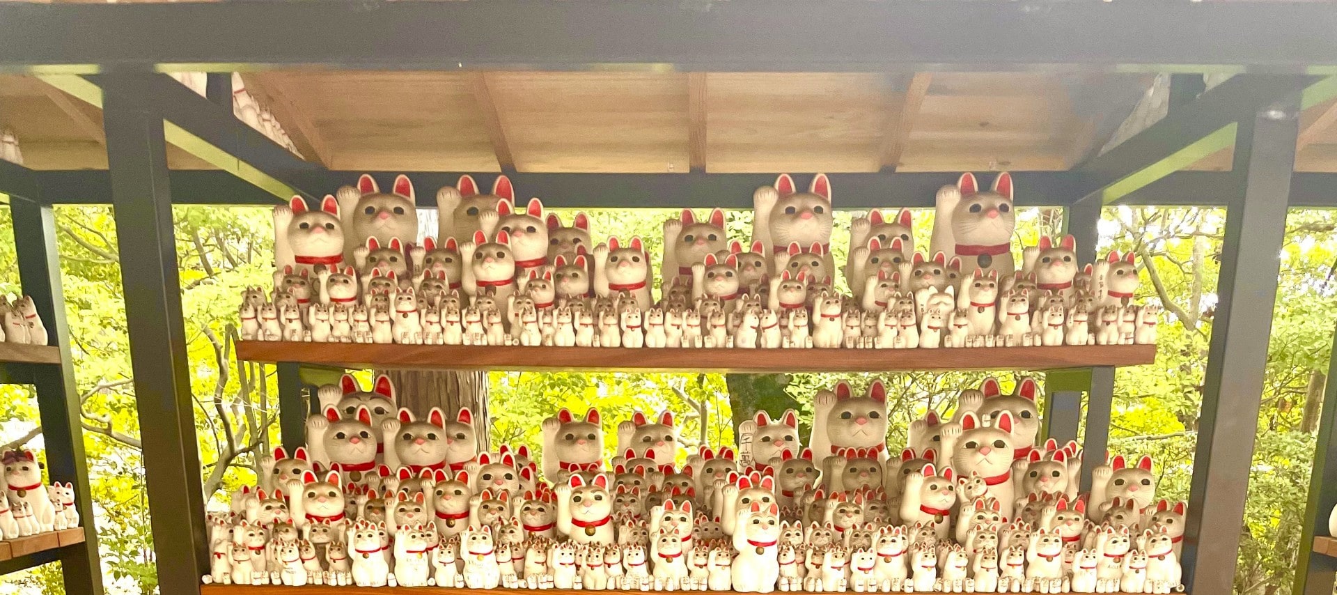 Gotokuji Cat temple, Shinjuku Cat cafe and 3D Cat tour (Tokyo)