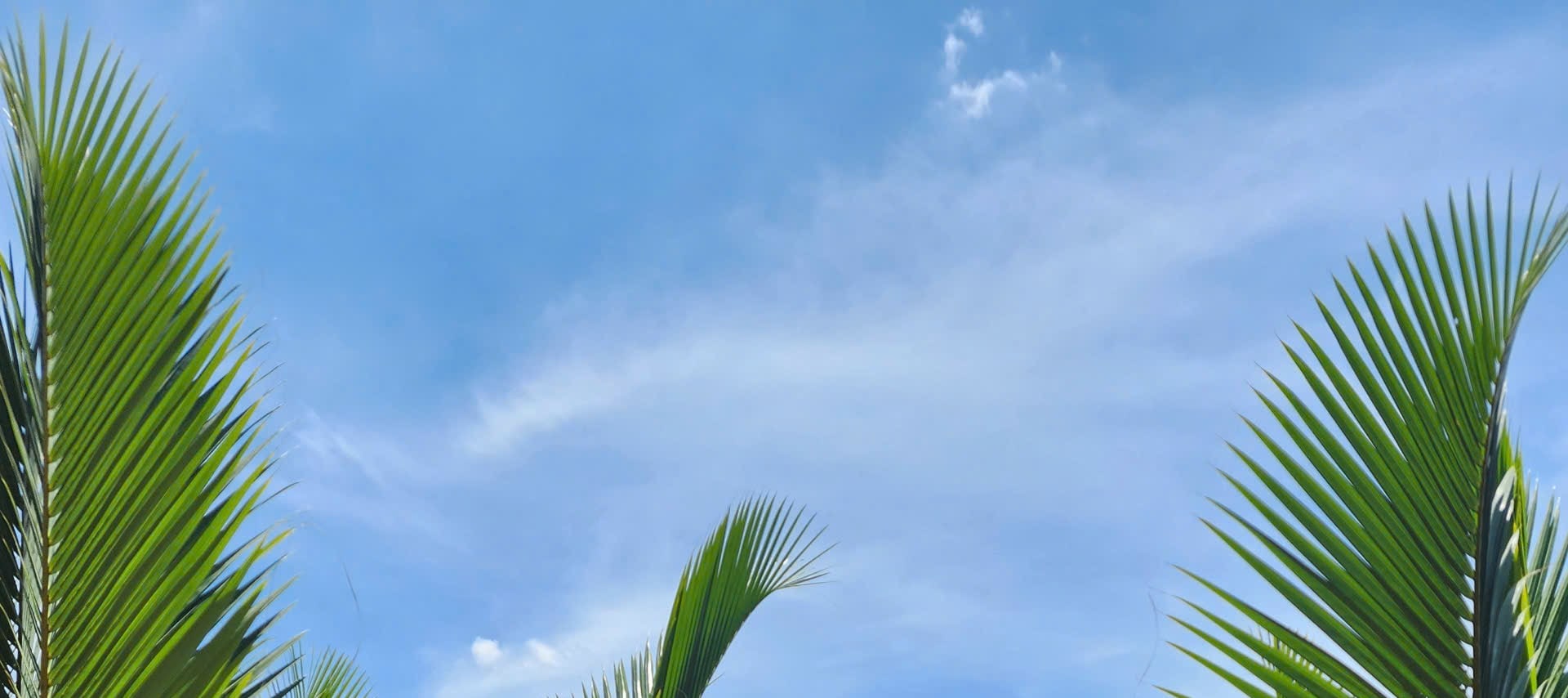 會安SUP立式划槳體驗