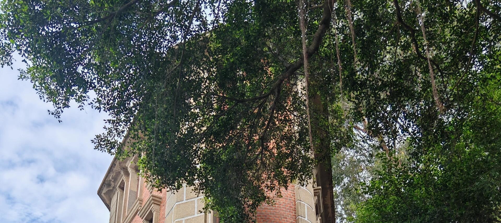 廈門鼓浪嶼最美轉角日光巖1日遊