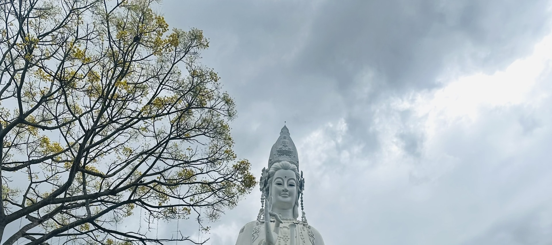大叻鄉村一日遊