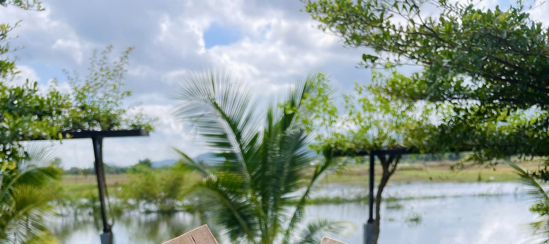 會安3小時木雕體驗課（當地藝術家指導）