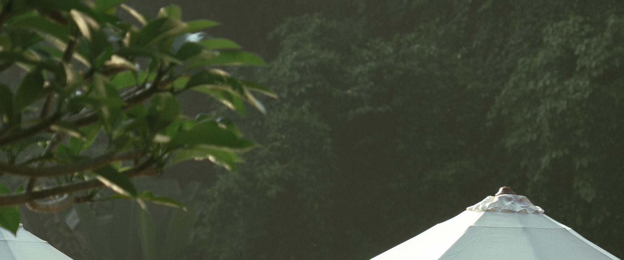 在Omma Dayclub與朋友共度夢幻般的日子，泳池中迴盪著歡笑聲，瀑布的背景描繪出我們完美的休閒畫布。