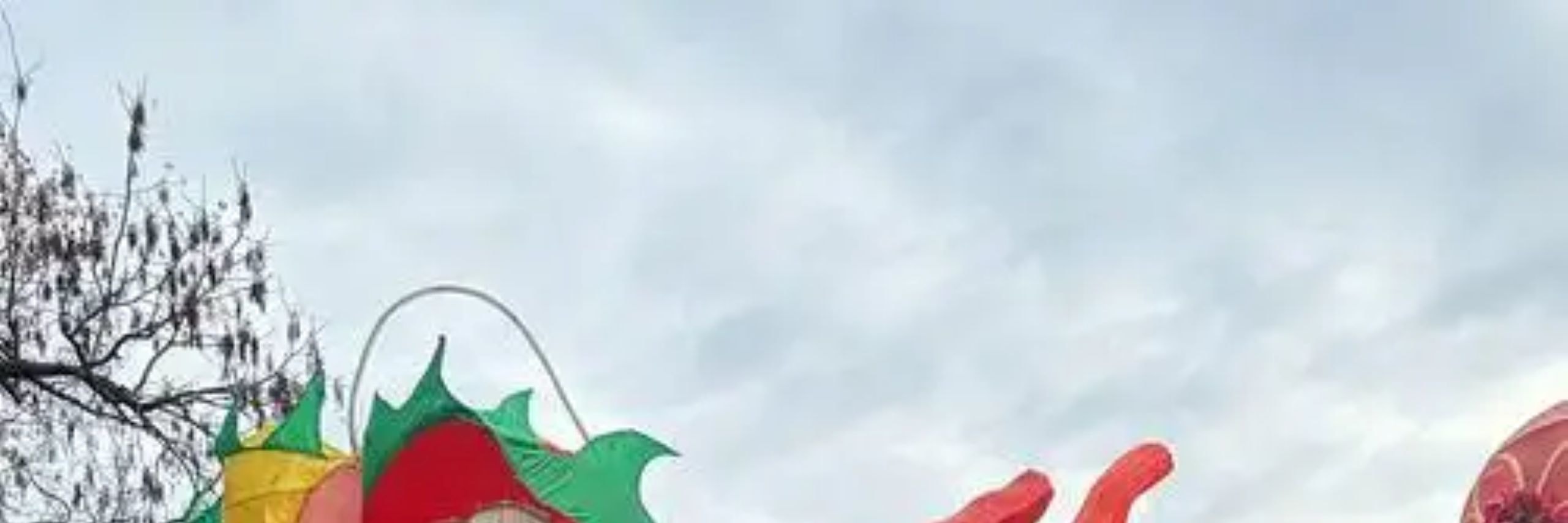 桂林陽朔遇龍河 |  金龍橋金龍巡遊
