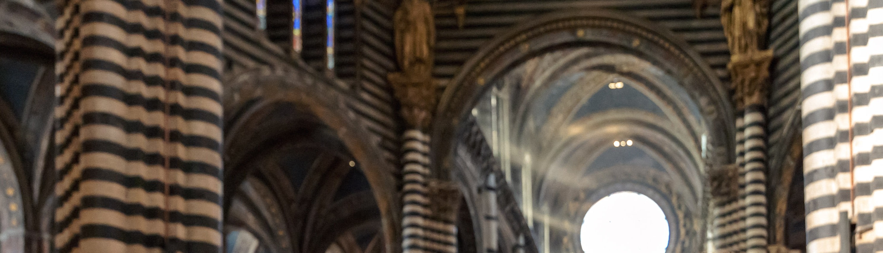 Tuscany Highlights Pisa, San Gimignano, Chianti & Siena Day Tour - Thumbnail 39