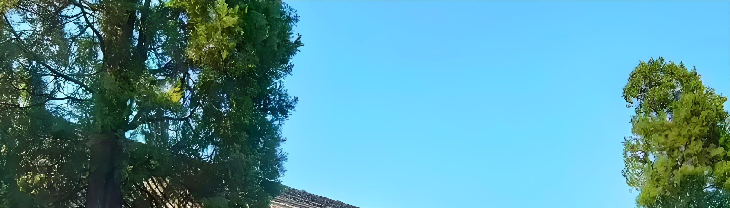 道教全真派十方叢林聖地，古柏參天中供奉八仙神像，青菸繚繞間沉澱著道法自然的東方智慧