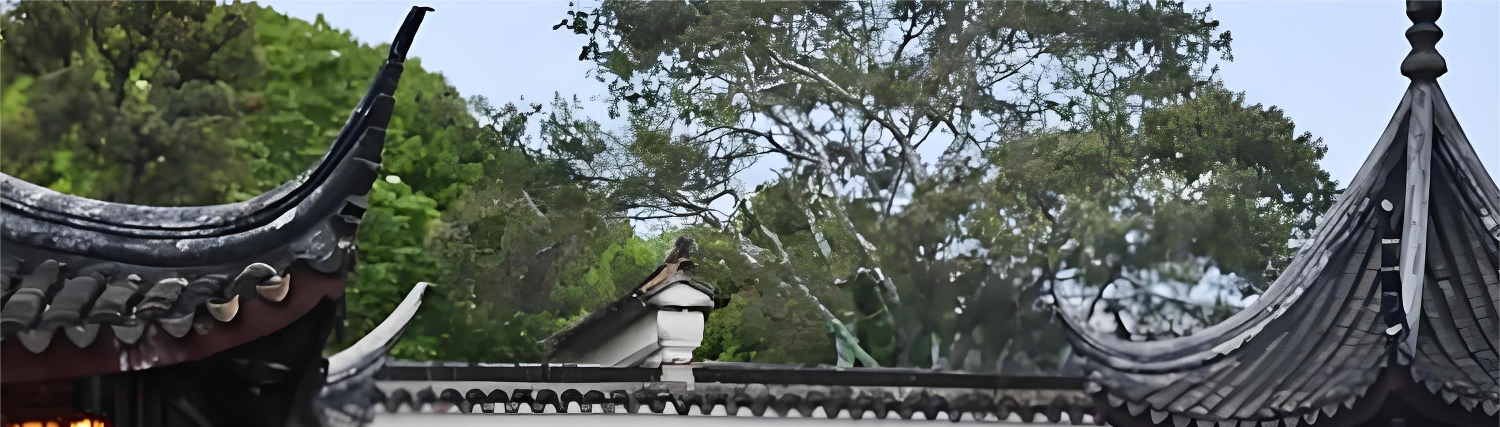 蘇州私人導覽半日遊 滄浪亭 網師園 江南園林絕美畫卷