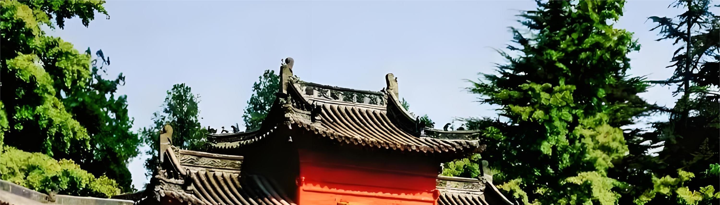 洛陽龍門石窟 私人導覽1日遊 自選（少林寺/白馬寺/洛邑古城/洛陽博物館/牡丹園）