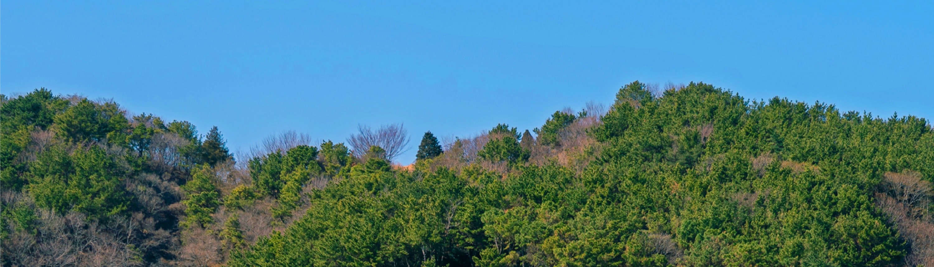 釜山 & 慶州一日遊（釜山出發）