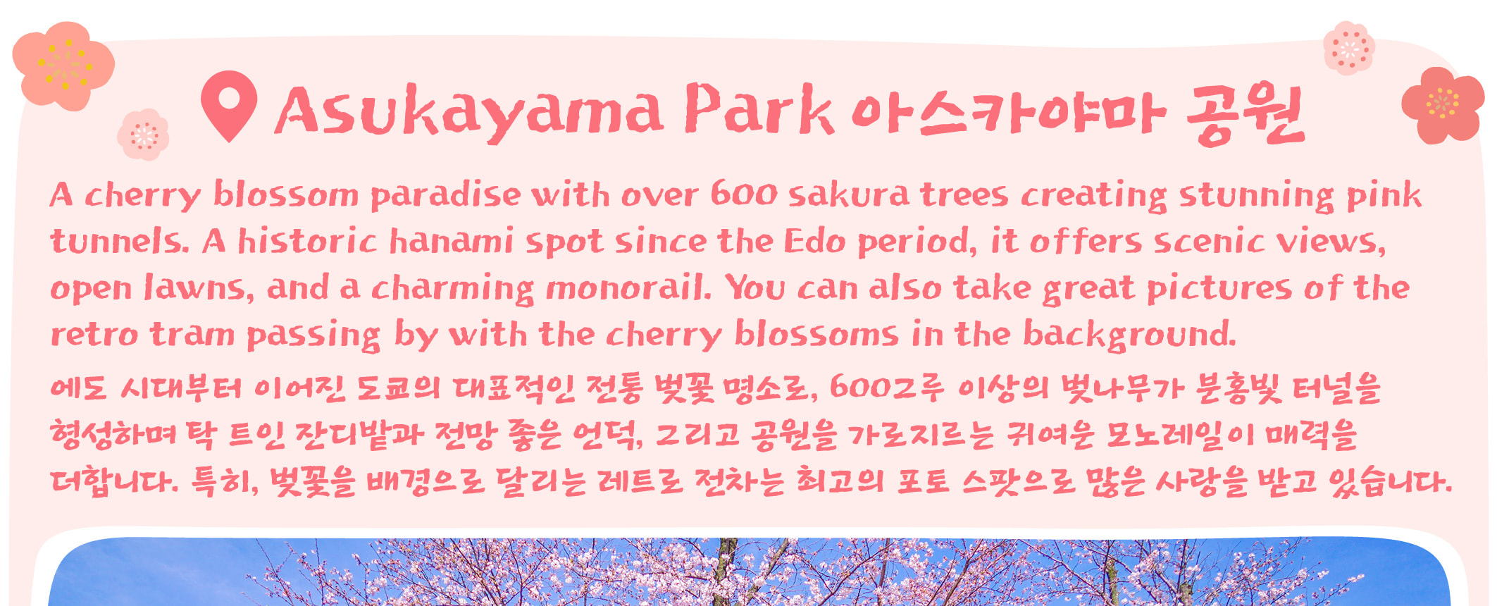 東京櫻花特輯：昭和紀念公園/六義園/飛鳥山