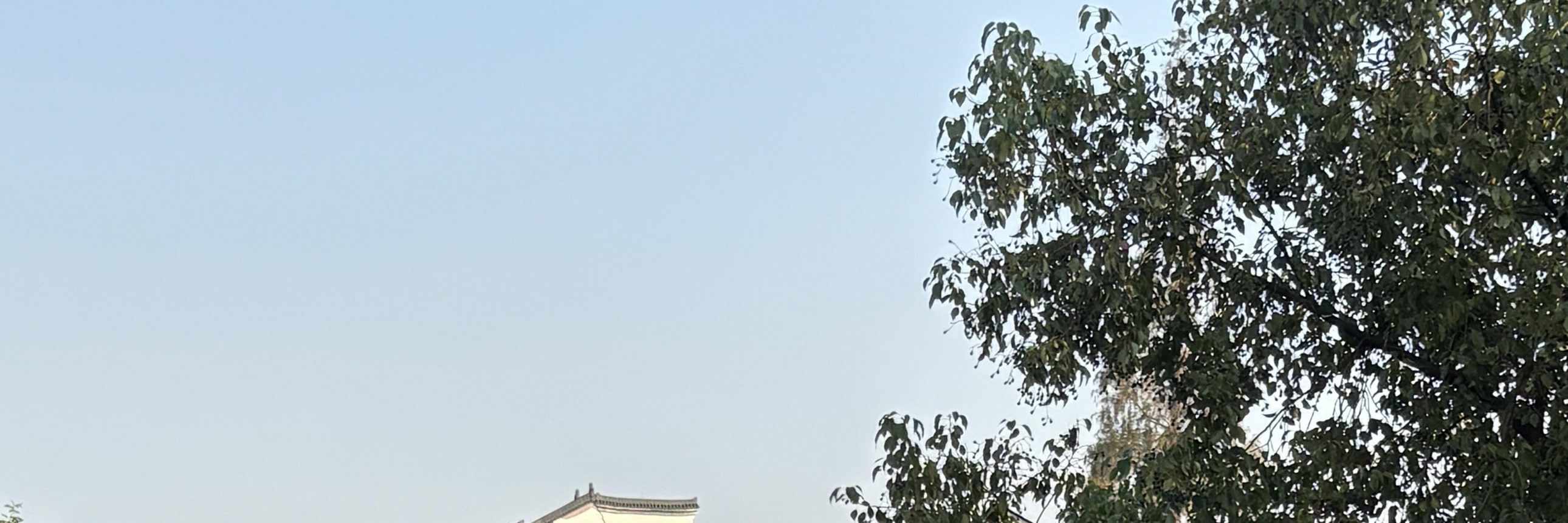 碧水如鏡，倒映著白牆黛瓦與蔥鬱綠樹，烏鎮的清晨靜謐又治癒，一河一屋一木，都寫滿了江南的溫柔詩意
