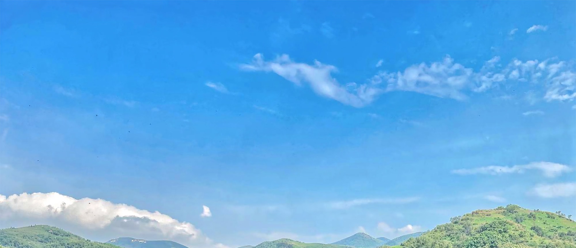🌿夏季的長泰山擁有美麗的小徑,非常適合清爽的徒步旅行。 🌿夏季的長泰山擁有美麗的小徑,非常適合清爽的徒步旅行。