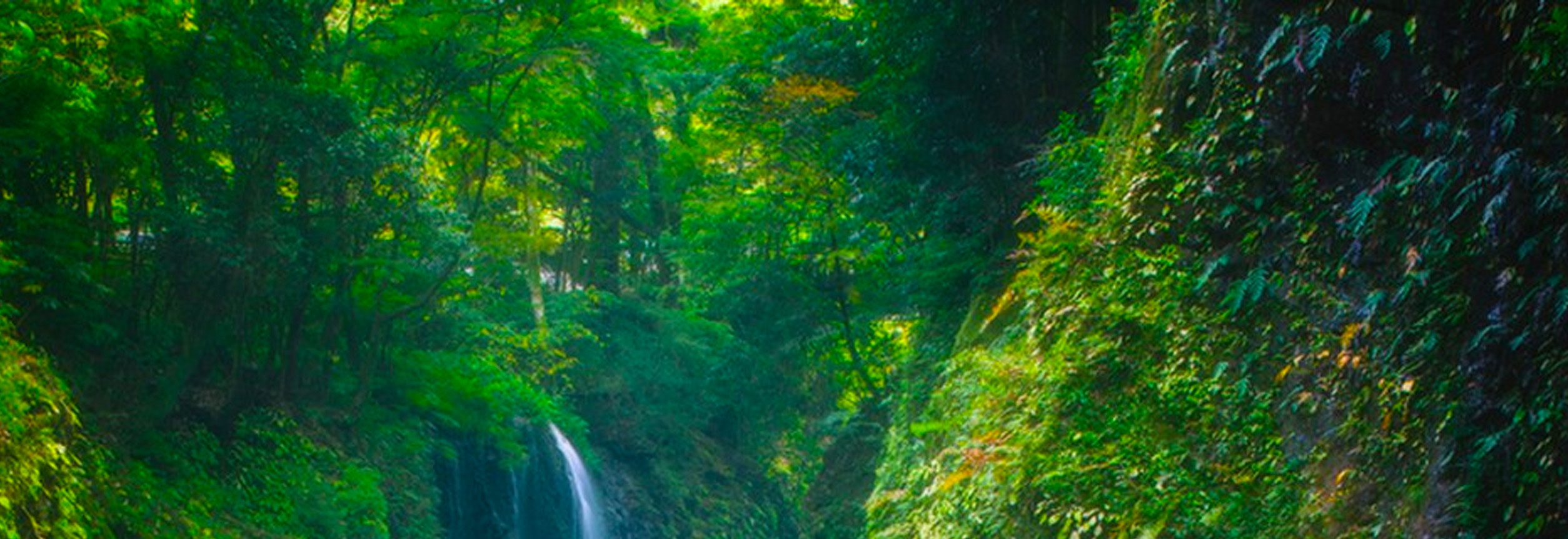 🌊 高千穗峽|自然奇觀
日本國家級名勝🏆,火山熔岩造就7公里峽谷。真名井瀑布💦入選瀑布百選,可步道賞景、乘舟觀賞,春秋有佳景,是攝影勝地。 🌊 高千穗峽|自然奇觀
日本國家級名勝🏆,火山熔岩造就7公里峽谷。真名井瀑布💦入選瀑布百選,可步道賞景、乘舟觀賞,春秋有佳景,是攝影勝地。