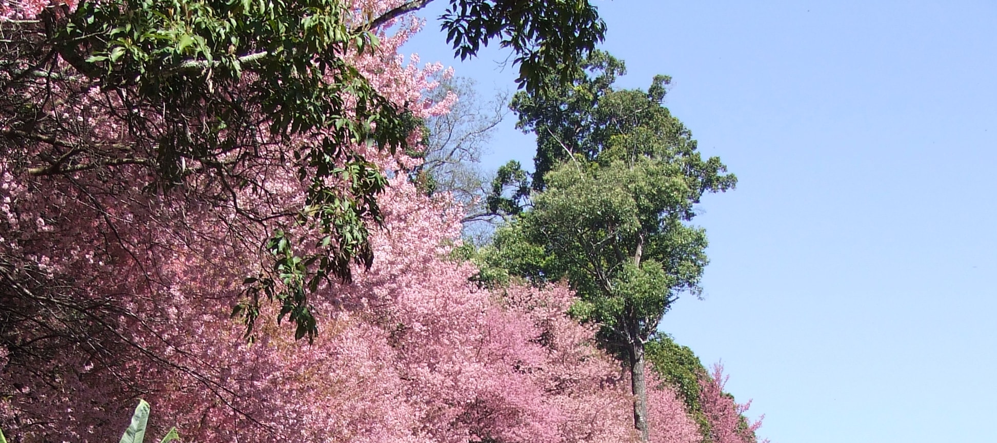 素貼山國家公園越野山地自行車騎行之旅