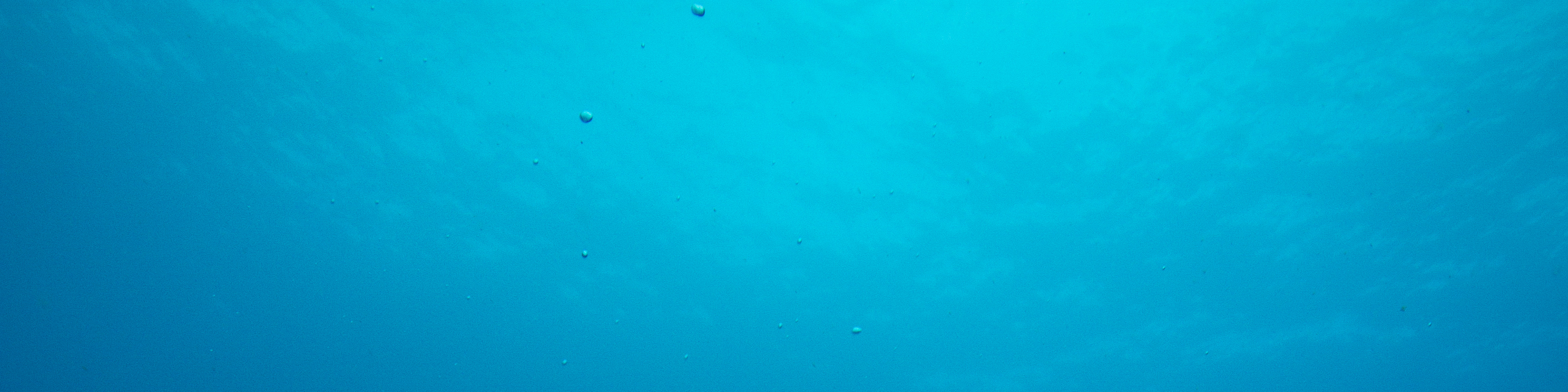 圖蘭奔開放水域潛水員體驗（PADI五星級中心）