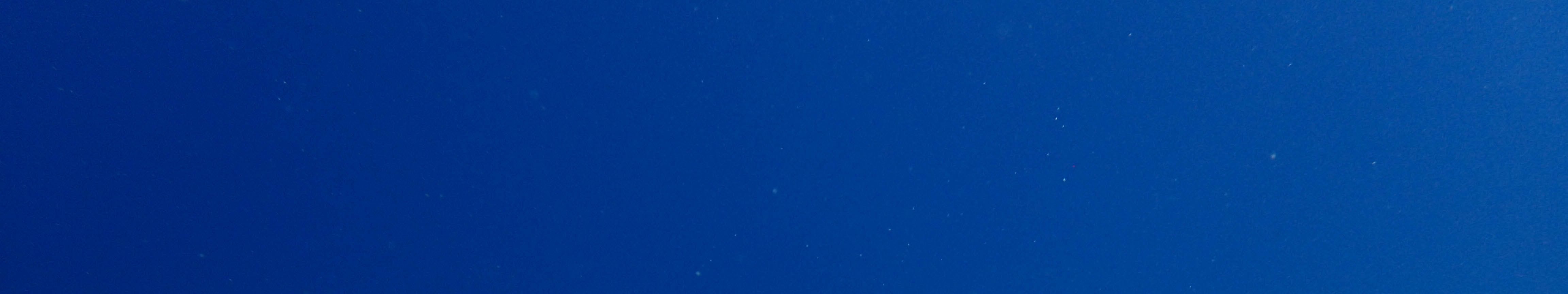 科莫多島開放水域潛水體驗（PADI五星級中心）