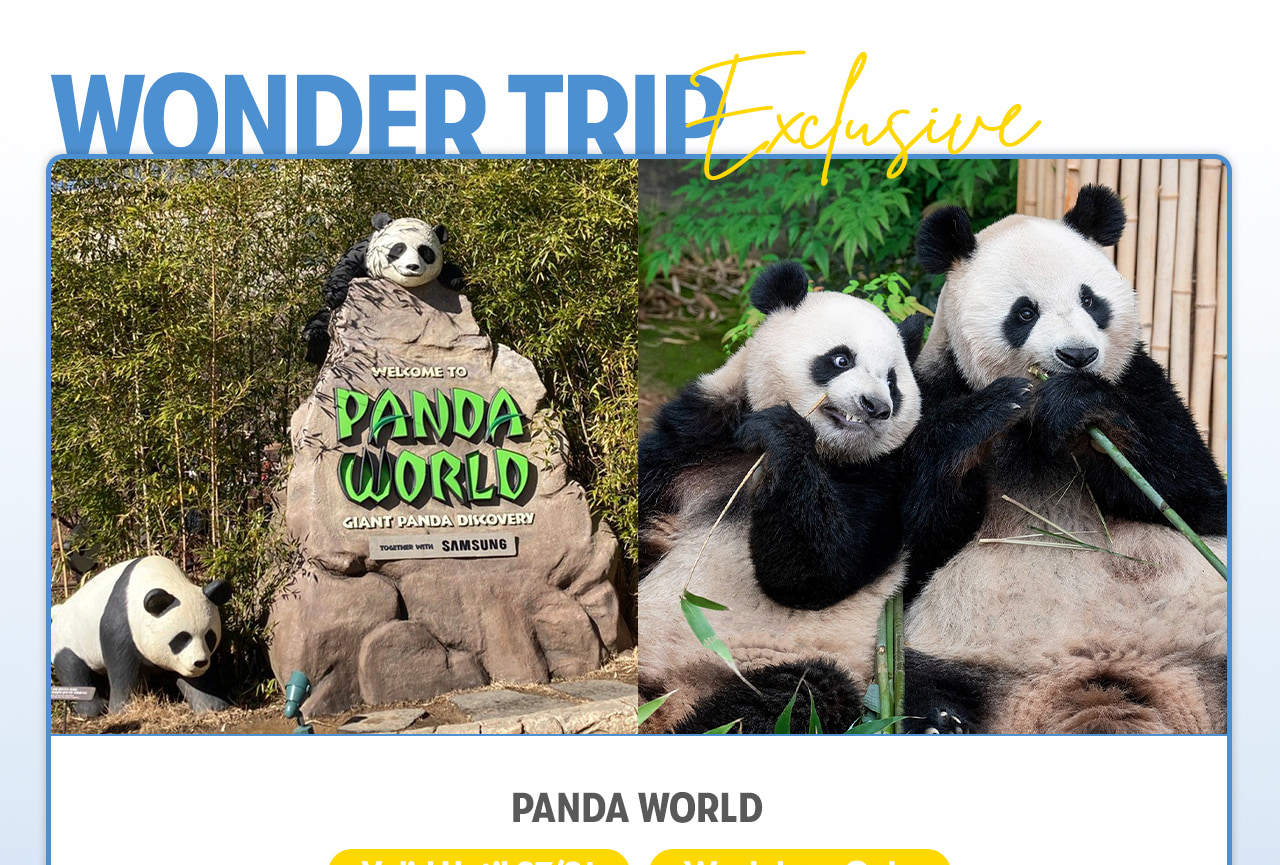 Everland Day Tour: Priority Entry (Till 31/5) + Optional Meal Coupon