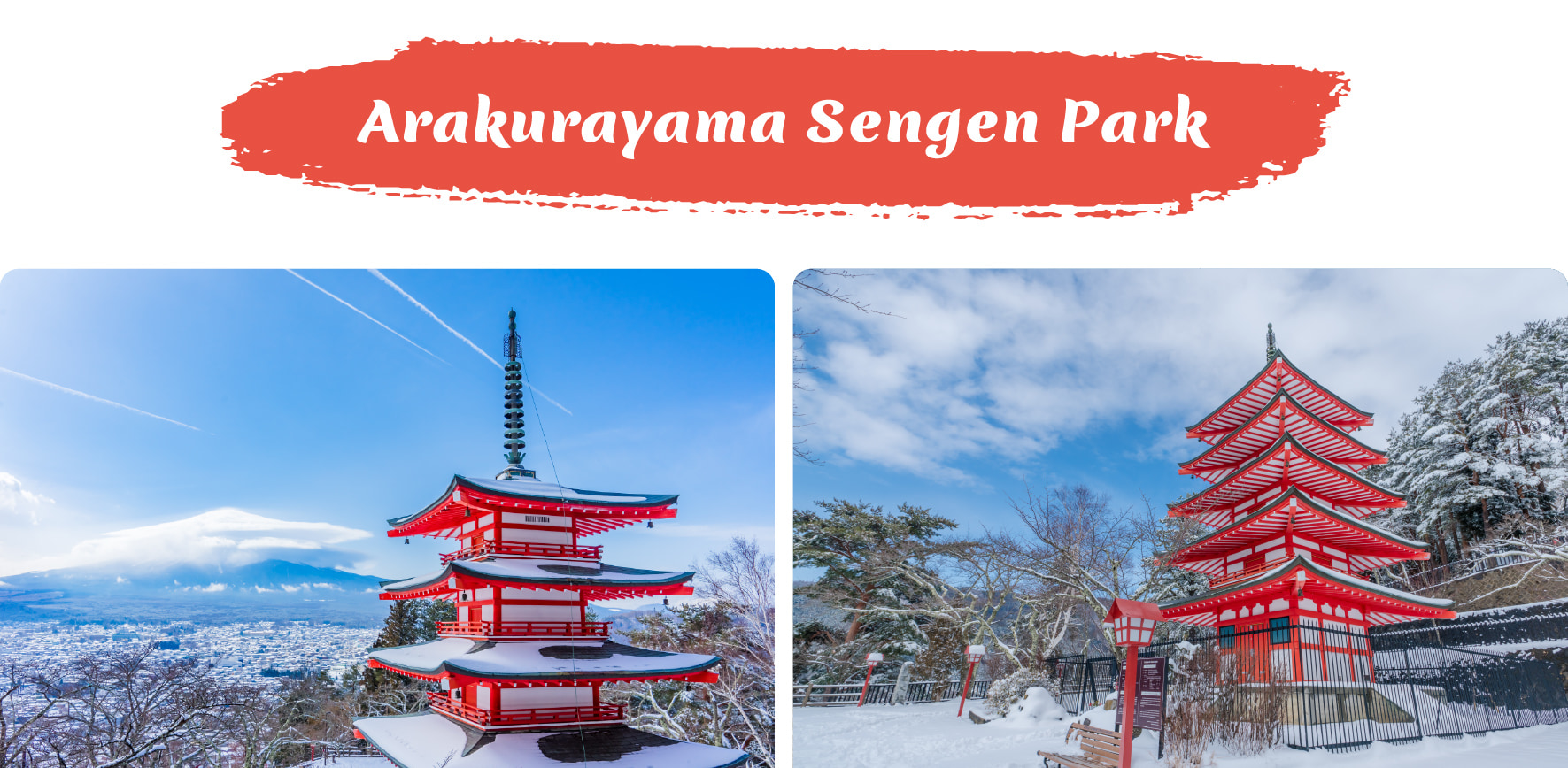 新倉山淺間公園是欣賞富士山美景的最佳地點之一,與標誌性的紅色忠靈塔相映成趣。攀登約400級臺階,即可在任何季節欣賞到令人驚歎、如明信片般完美的全景。 新倉山淺間公園是欣賞富士山美景的最佳地點之一,與標誌性的紅色忠靈塔相映成趣。攀登約400級臺階,即可在任何季節欣賞到令人驚歎、如明信片般完美的全景。