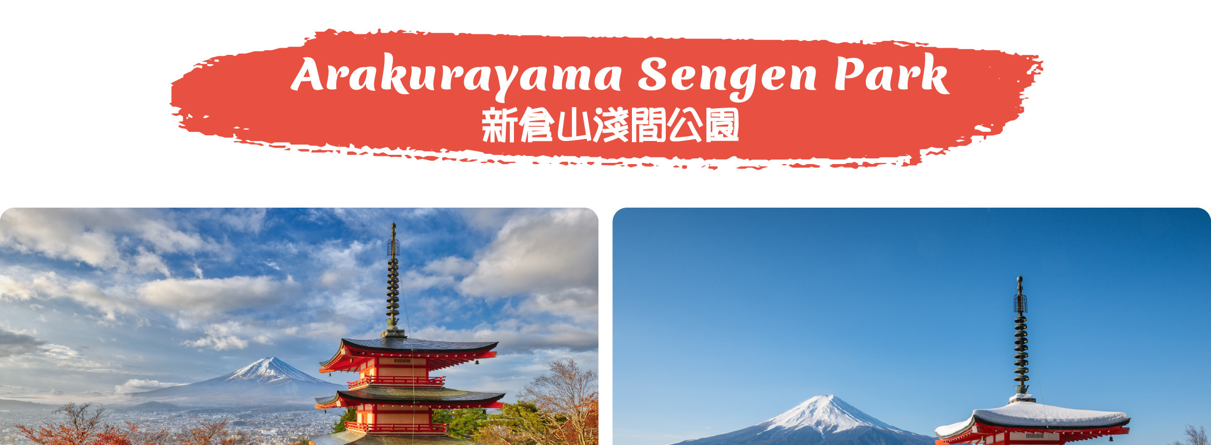 富士山 & 箱根: 富士山五合目/河口湖/大石公園/忍野八海/大涌谷/大淵笹場/雕刻之森美術館/箱根纜車/海賊船 (中/英/韓語導遊)