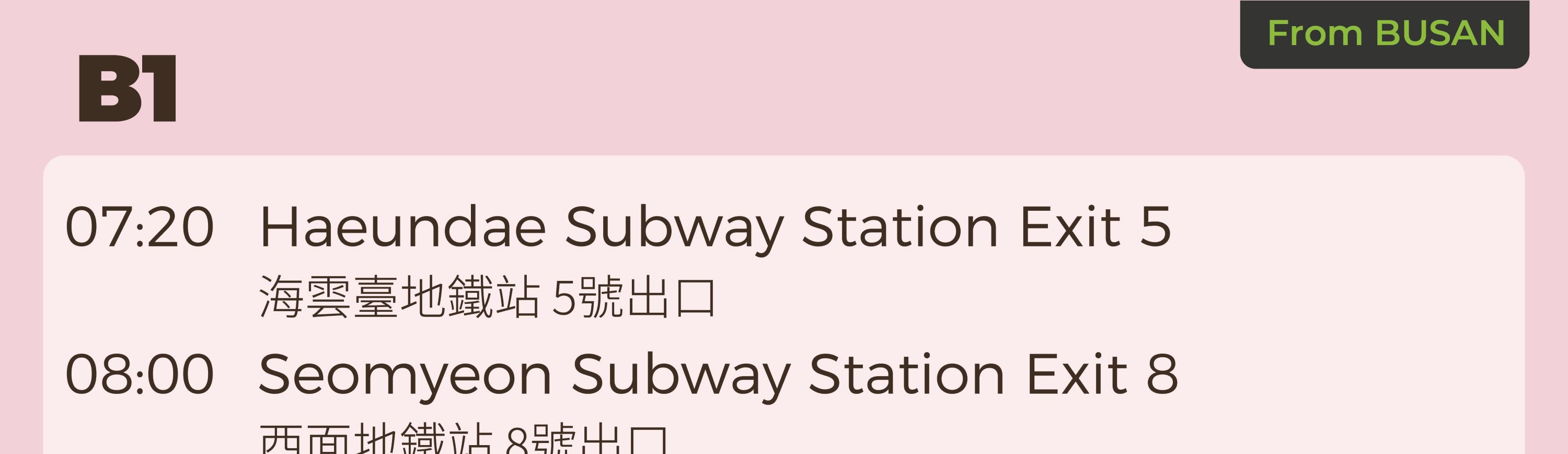 鎮海軍港節賞櫻一日遊（首爾／釜山出發）
