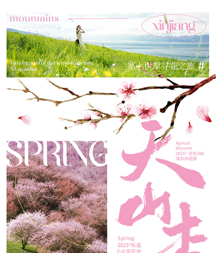 7-Day Xinjiang Yili Blossom Tour: Searching for Apricot Flowers in the Tianshan Mountains (Photography Leader Accompanied Entry to Scenic Area + Off-Road Secret Spots + Daxi Valley Apricot Blossoms + Turgen Apricot Blossoms + Kazakh Afternoon Tea + Sayram