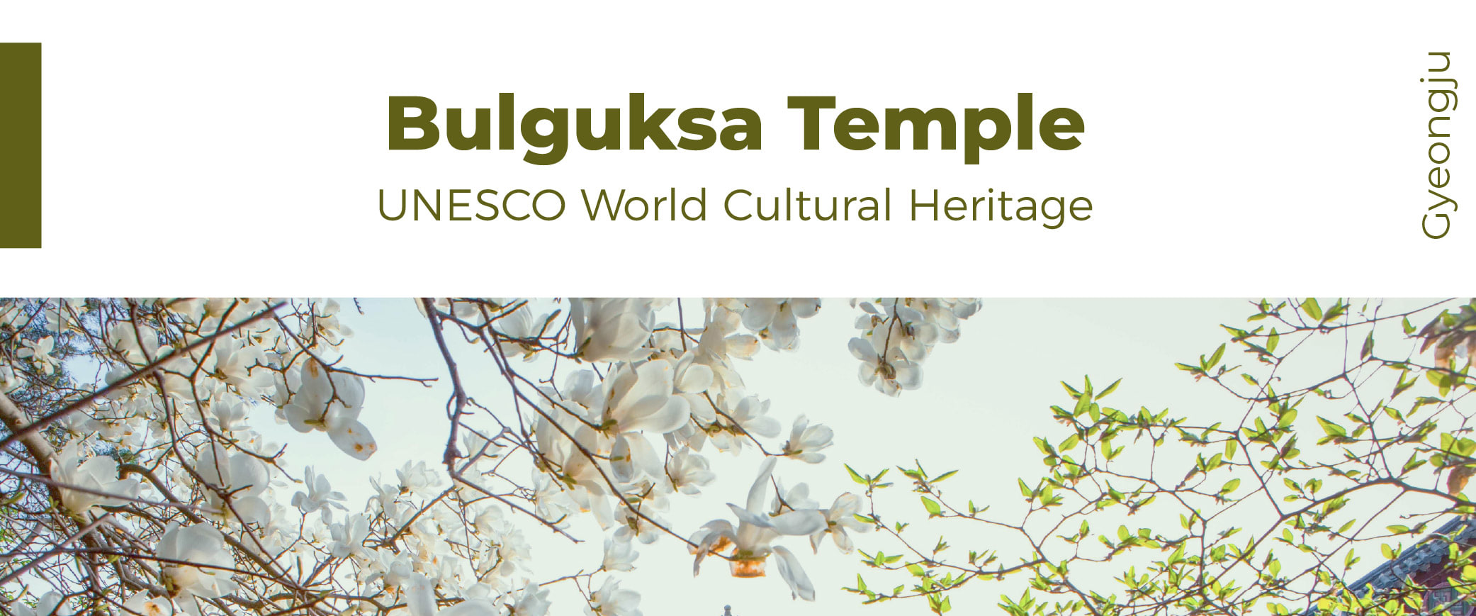 [From Daegu] Gyeongju UNESCO Day Tour: Bulguksa Temple, Cheomseongda