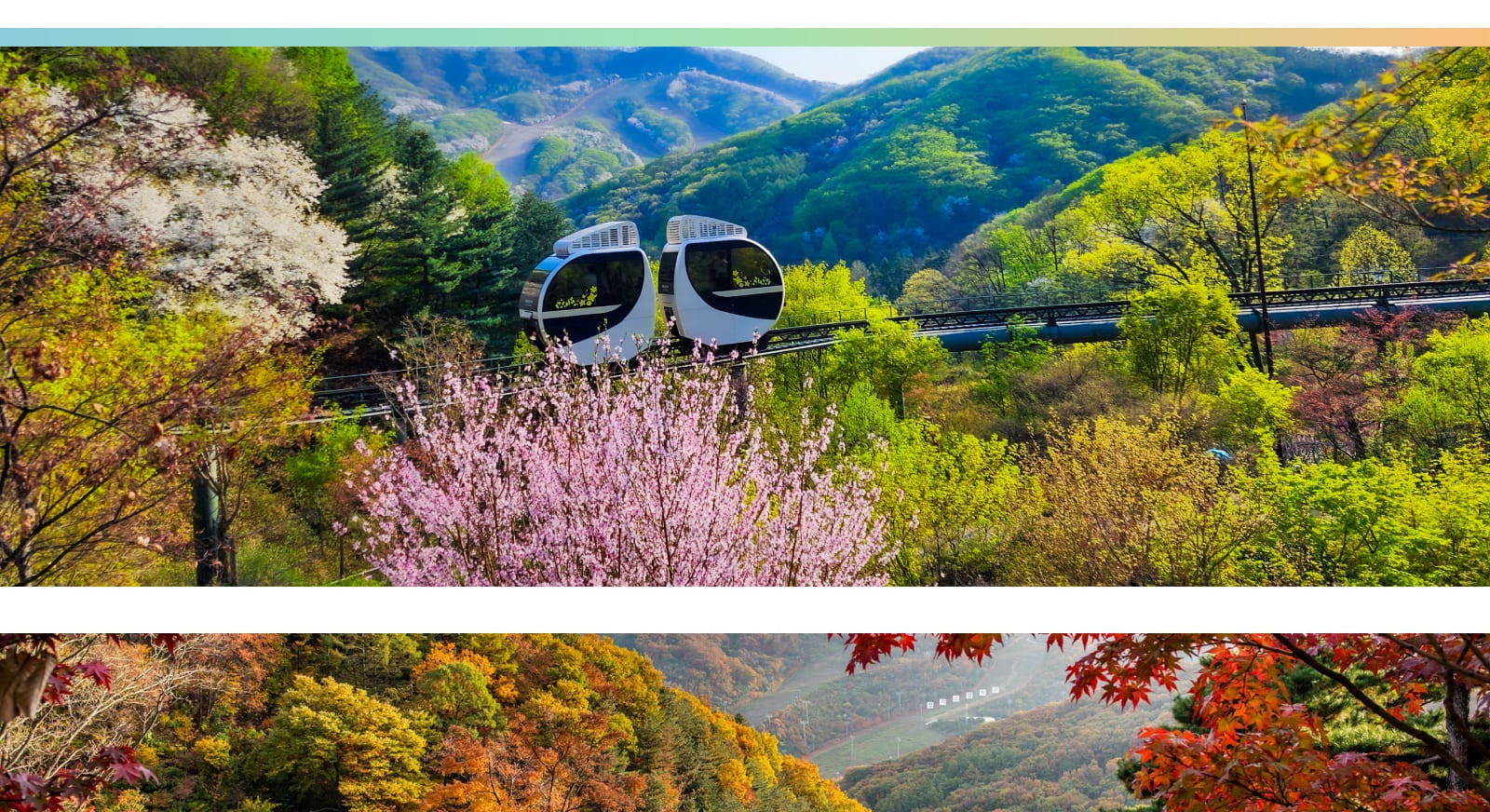 和談林 – 探索韓國最寧靜、最迷人的生態目的地之一。（季節性）