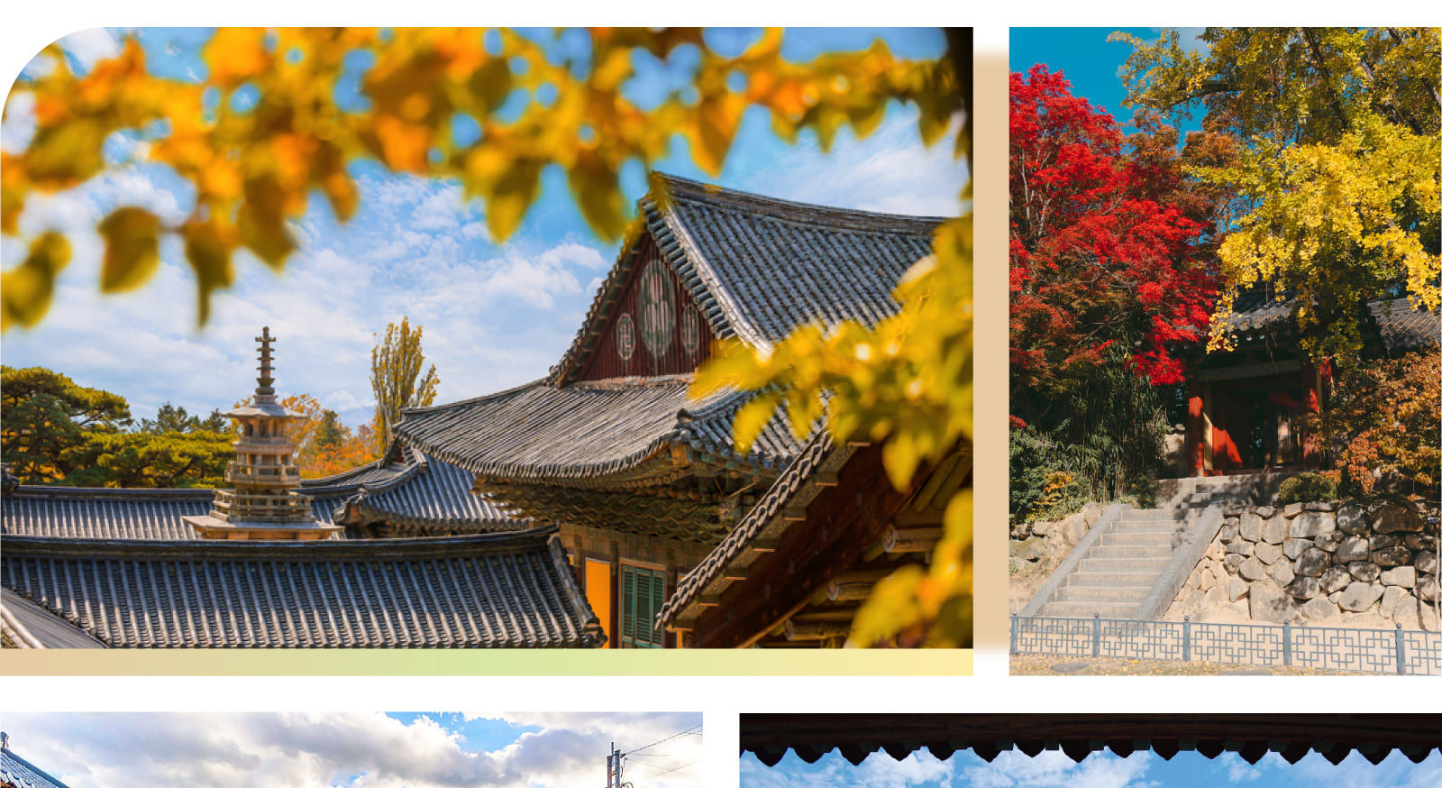 走進這座「沒有圍牆的博物館」，探索慶州，新羅王朝的古都。參加這個特別的一日遊，一次飽覽市內最具代表性的聯合國教科文組織世界遺產，以及秋季楓紅的迷人景緻。