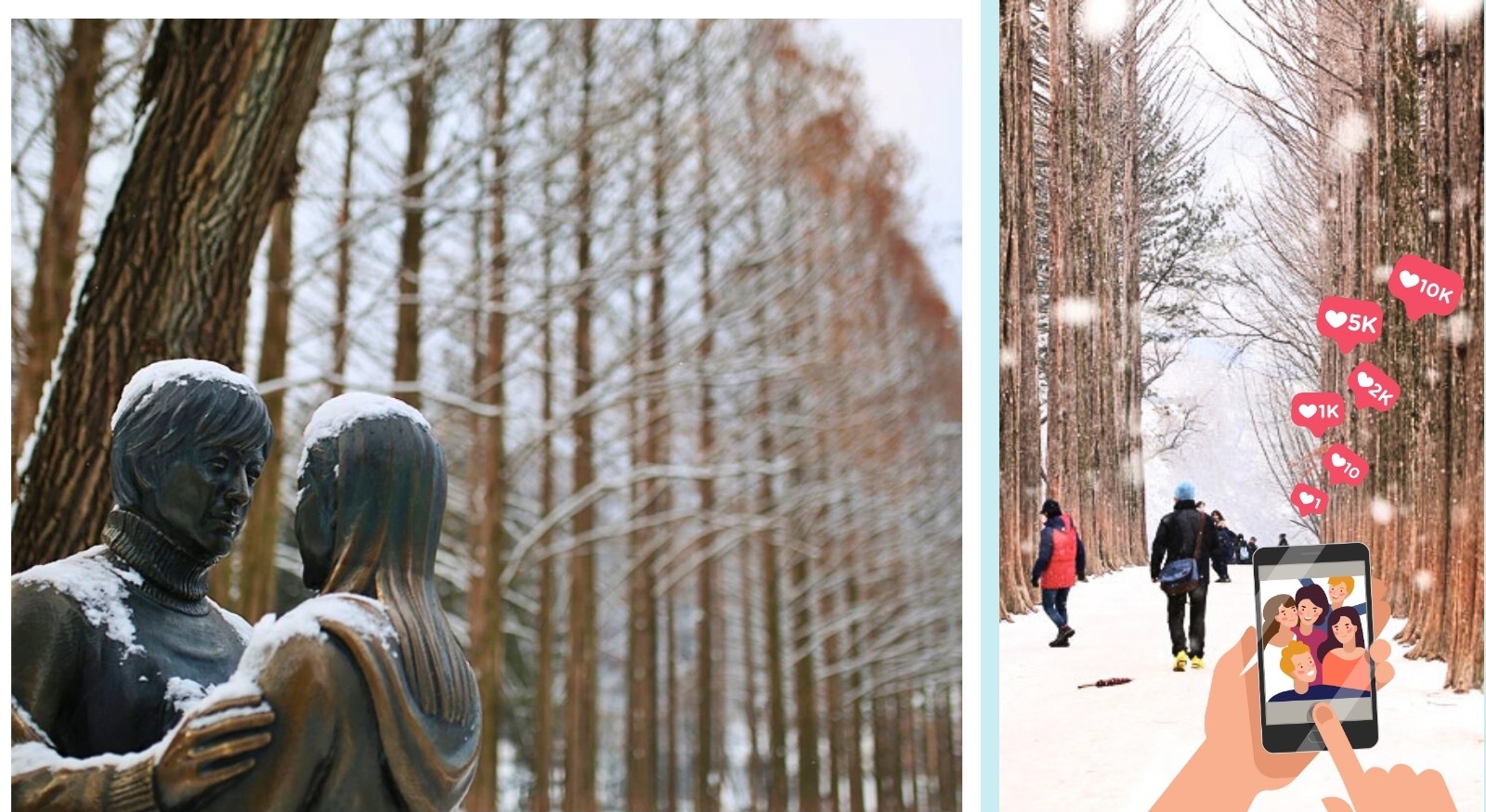 洪川大明維瓦爾第度假村冰雪王國／南怡島／草泥馬樂園／採草莓／五色星光庭園展