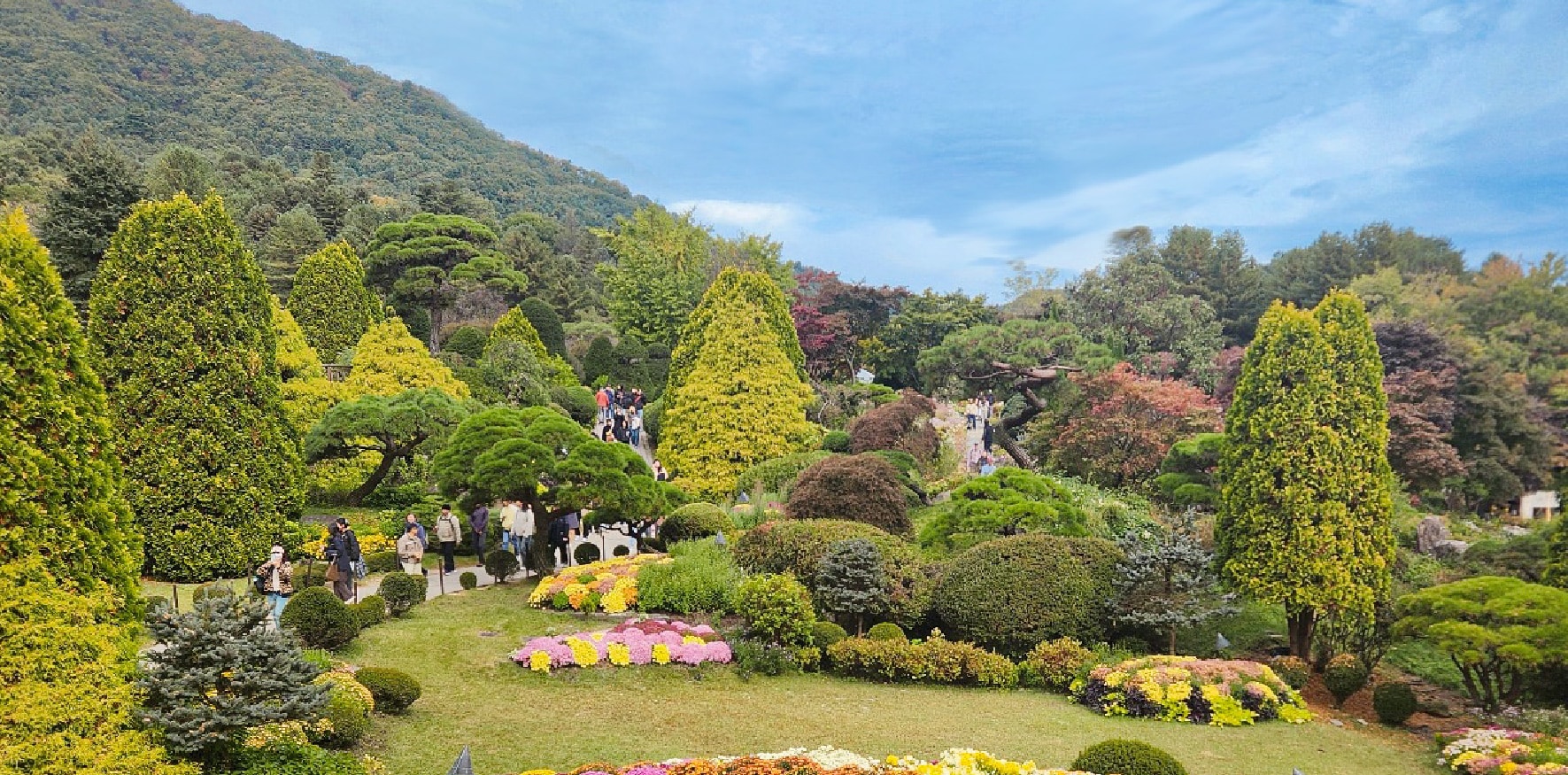 南怡島／草泥馬／鐵道自行車／小法國村／晨靜樹木園／海棠花園之旅