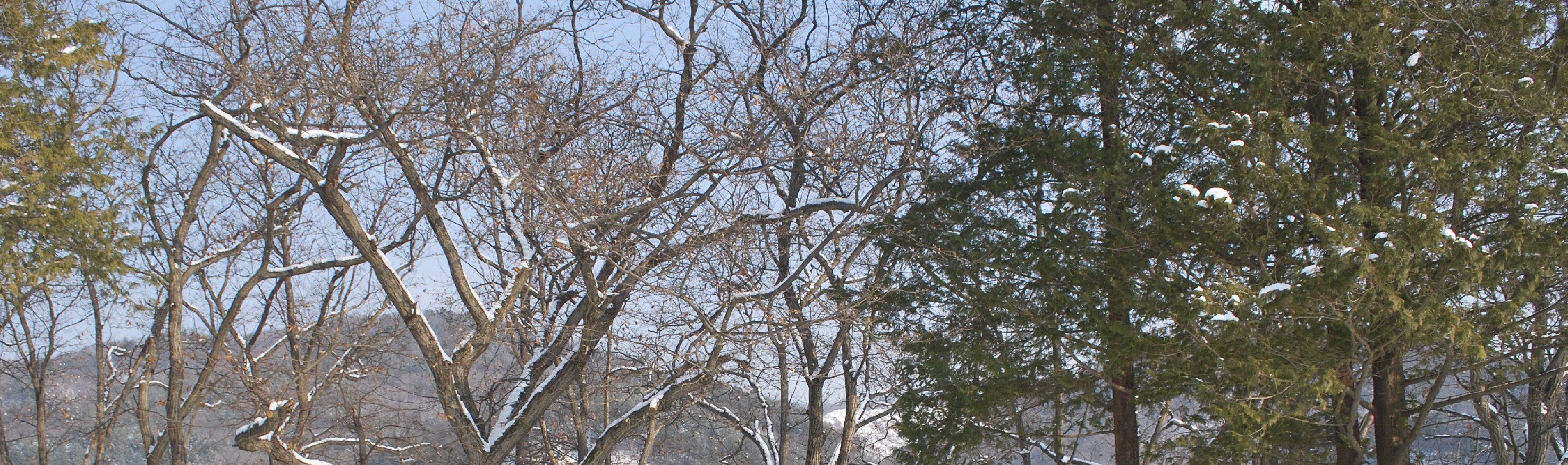 南怡島＆伊利希安江村滑雪度假村一日遊（首爾出發）